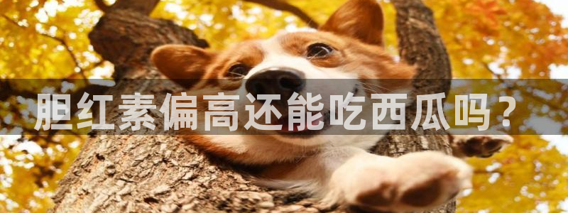 长生武道从九龙夺嫡开始吃瓜：胆红素偏高还能吃西瓜吗？