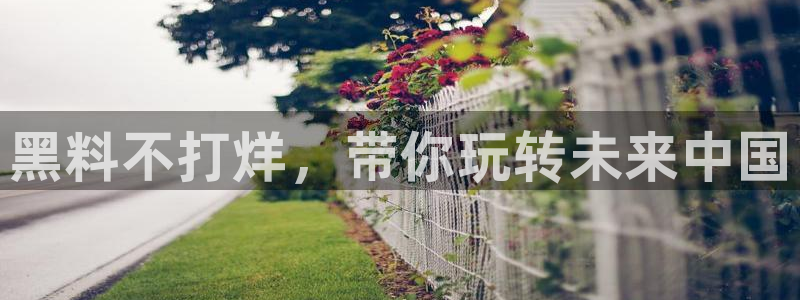 51吃瓜备用线路
