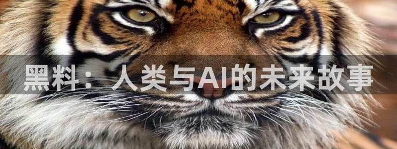 51吃瓜网更新最快最全的：黑料：人类与AI的未来故事