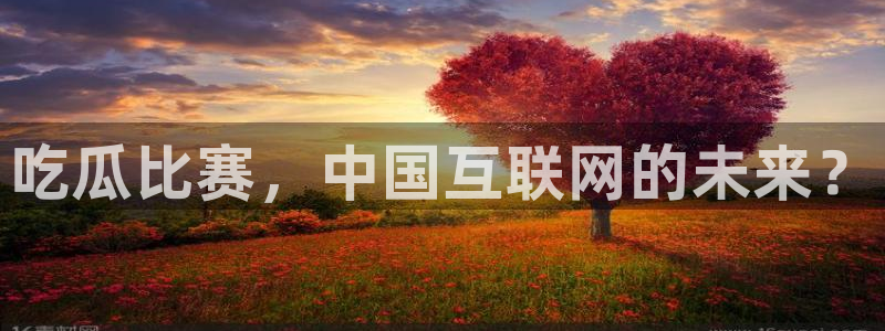 吃瓜不打烊–吃瓜,不打烊：吃瓜比赛，中国互联网的未来？