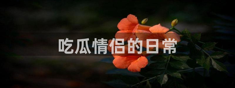 51cg1.ct吃瓜张津瑜：吃瓜情侣的日常