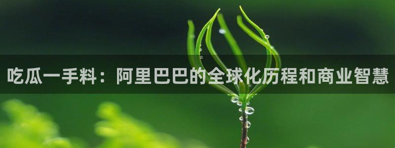 91今日吃瓜热门大瓜：吃瓜一手料：阿里巴巴的全球化历程和商业智慧