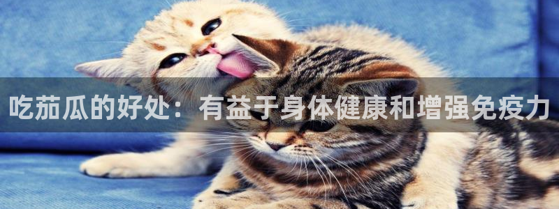 51吃瓜网今日榜单：吃茄瓜的好处：有益于身体健康和增强免疫力