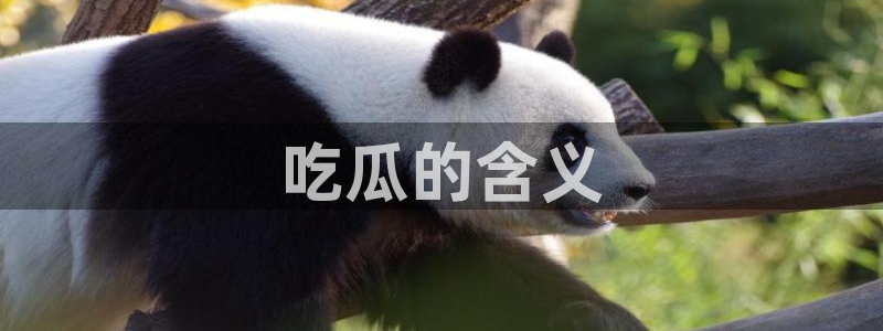 吃瓜喉咙痒怎么办：吃瓜的含义