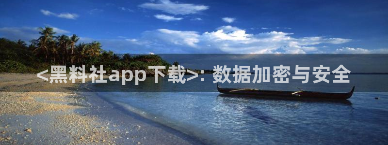 吃瓜：<黑料社app下载>: 数据加密与安全