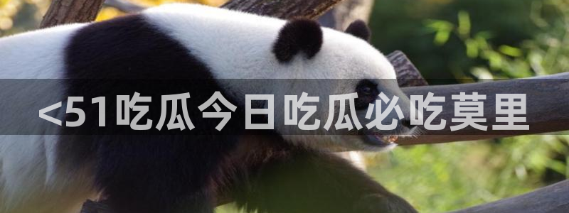 ccgg.mob今日吃瓜：<51吃瓜今日吃瓜必吃莫里