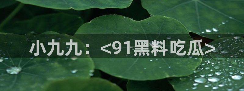 黑料揭秘：小九九：<91黑料吃瓜>