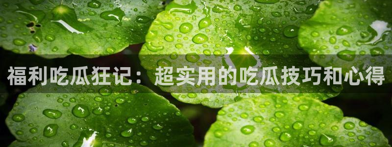 长生武道从九龙夺嫡开始吃瓜：福利吃瓜狂记：超实用的吃瓜技巧和心得
