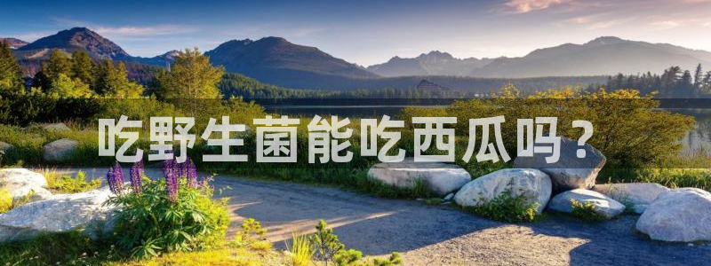 长生武道:从九龙夺嫡开始吃瓜：吃野生菌能吃西瓜吗？
