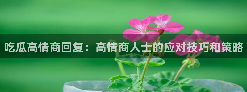 吃瓜吃瓜