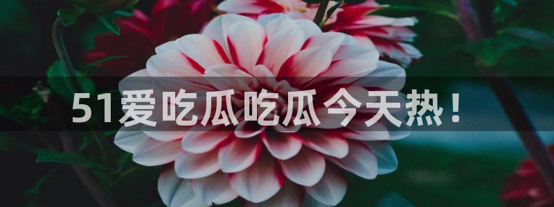 ccgg.mob今日吃瓜