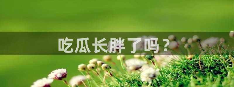 1吃瓜:吃瓜长胖了吗?