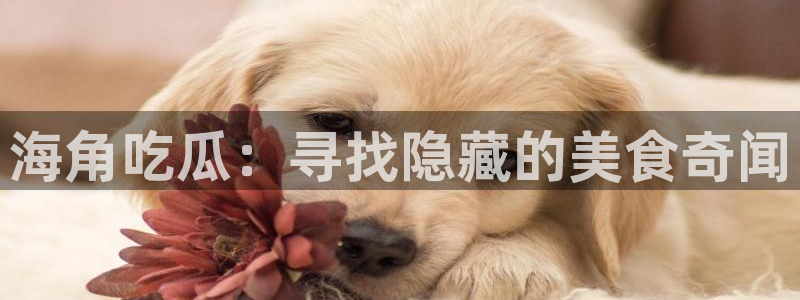 风静言我在年代文里吃瓜看戏