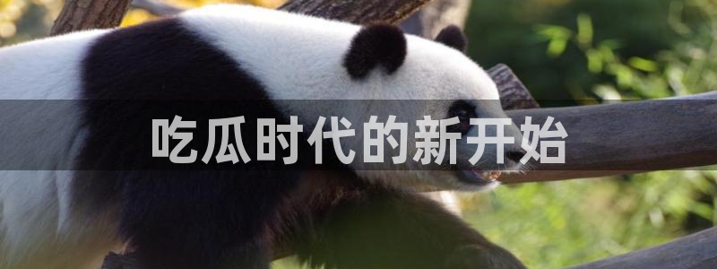吃瓜.