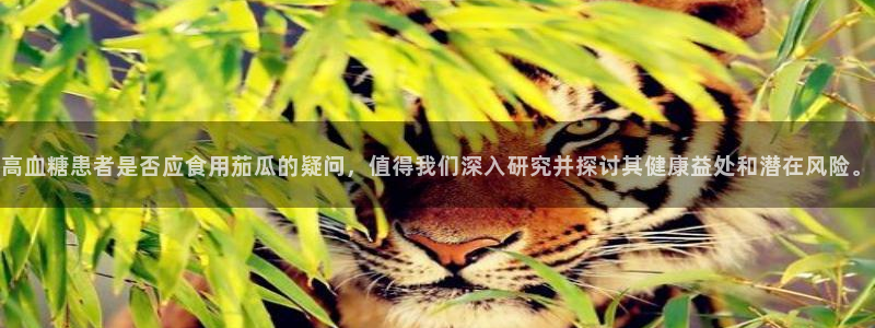 吃瓜.:高血糖患者是否应食用茄瓜的疑问,值得我们深入研究并探讨其健康益处和潜在风险。