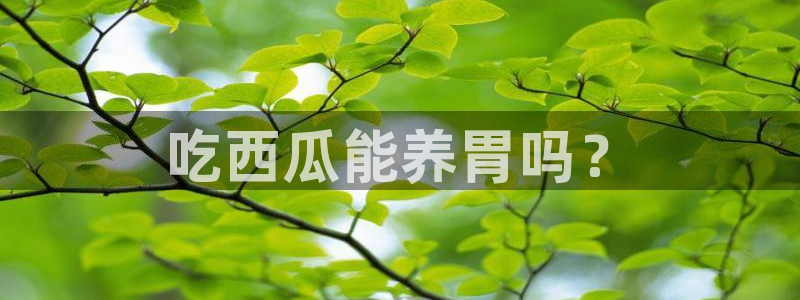 58吃瓜今日吃瓜入口:吃西瓜能养胃吗?
