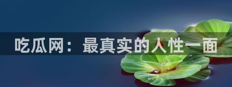黑料 爆料：吃瓜网：最真实的人性一面