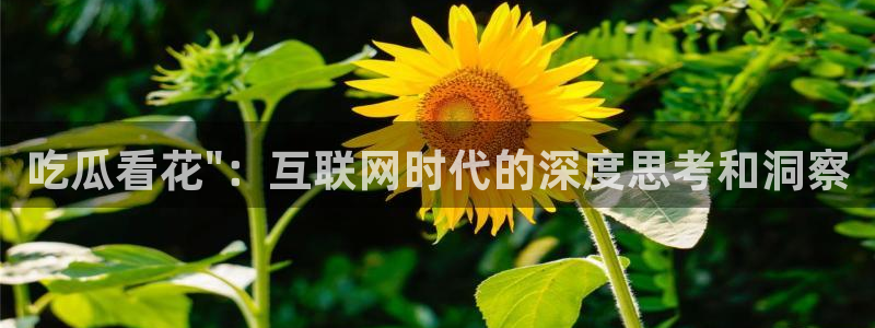 废太子在七零吃瓜看戏
