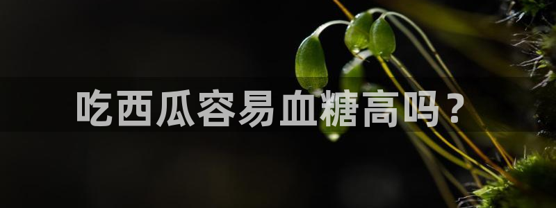 51吃瓜网 张津瑜：吃西瓜容易血糖高吗？