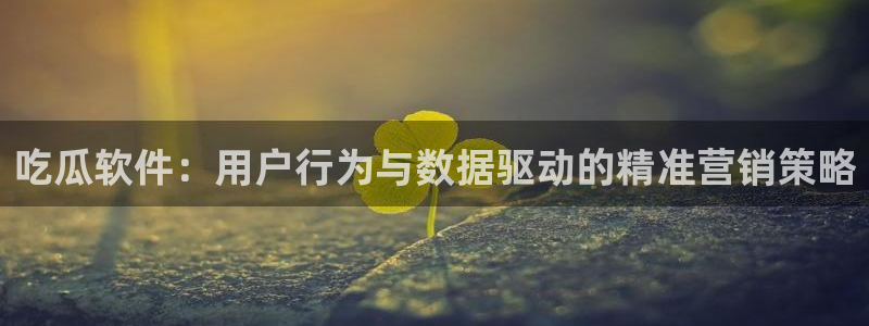 51吃瓜今日吃瓜入口：吃瓜软件：用户行为与数据驱动的精准营销策略