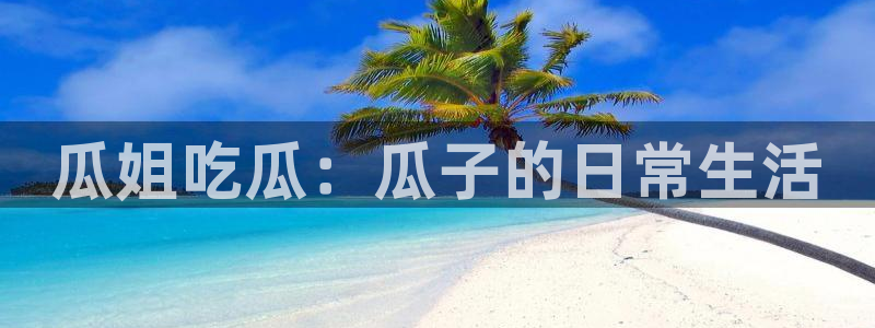 今日黑料